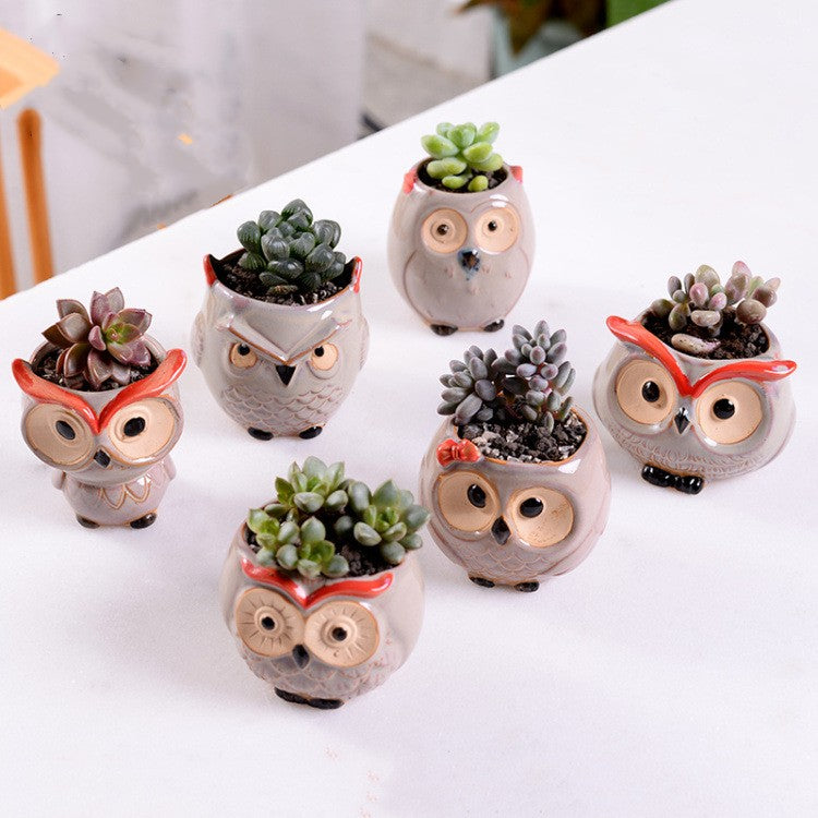 Ceramic Owl Planters Natural – Air Plant Pots with Live Air Plants