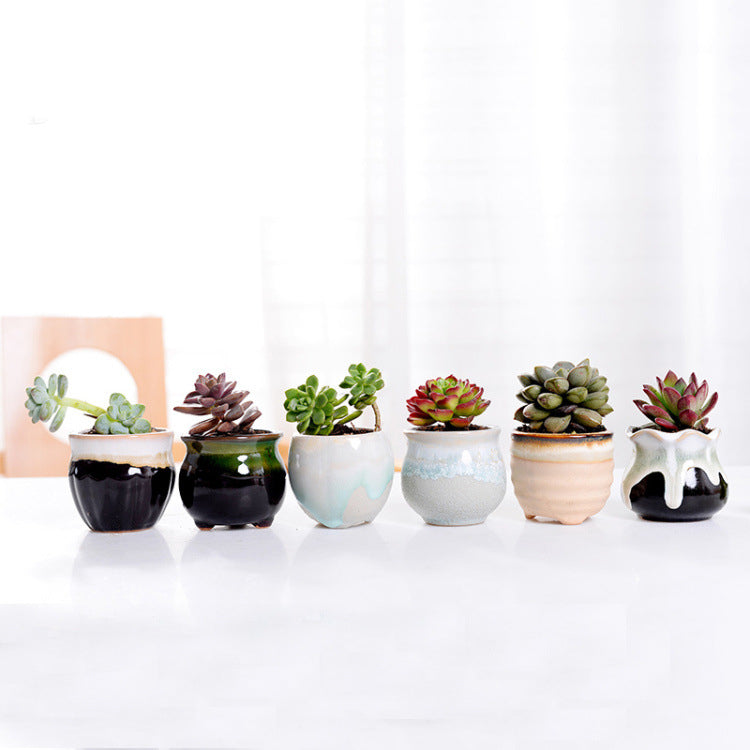 Cute Small Ceramic Planters with Air Plants – Mini Decorative Pots – Modern Home & Office Décor