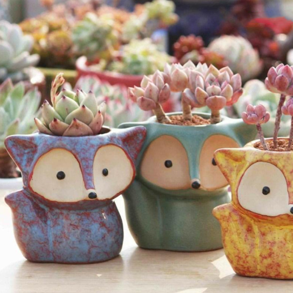 Fox Ceramic Planters with Air Plants – Set of 4 W/Plant