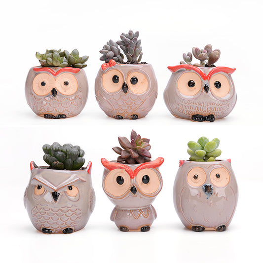 Owl Planters Natural – Ceramic Air Plant Pots with Live Air Plants