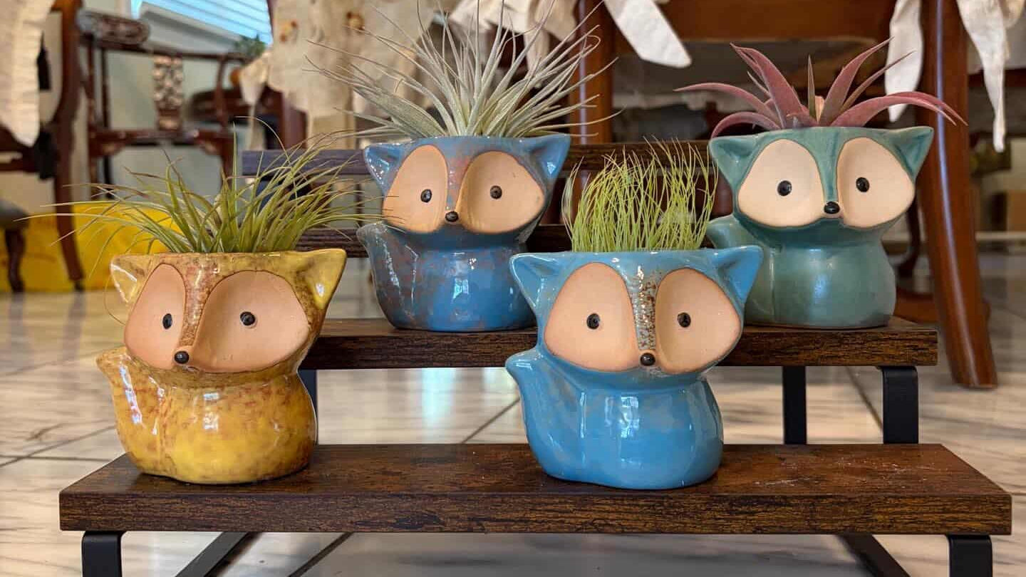Fox Ceramic Planters with Air Plants – Set of 4 W/Plant