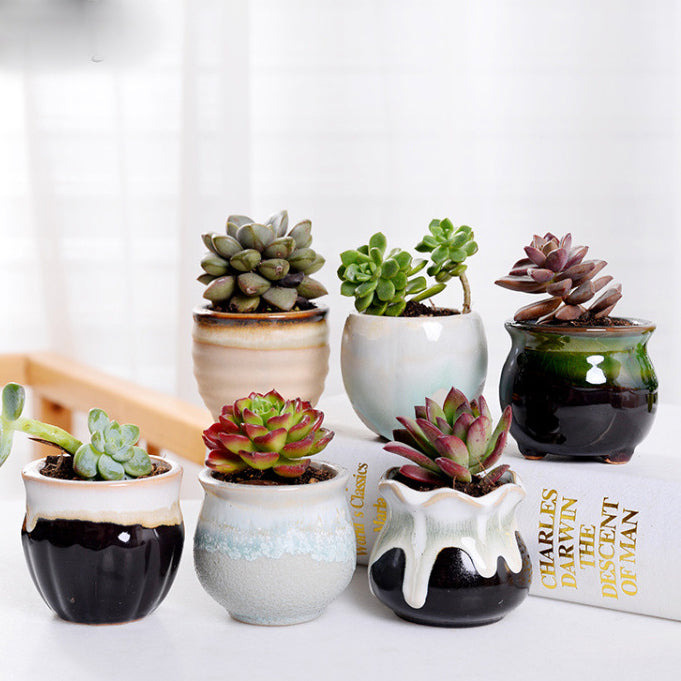 Cute Small Ceramic Planters with Air Plants – Mini Decorative Pots – Modern Home & Office Décor