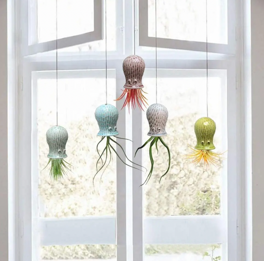 Hanging Air Plant Buddies