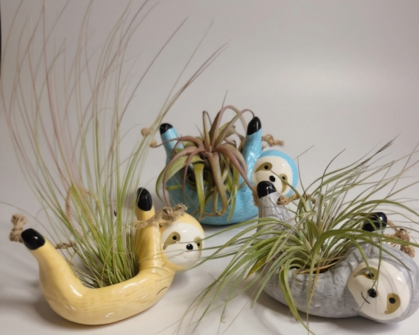 Ceramic Sloth Air Plant Holder – Handcrafted Hanging Planter