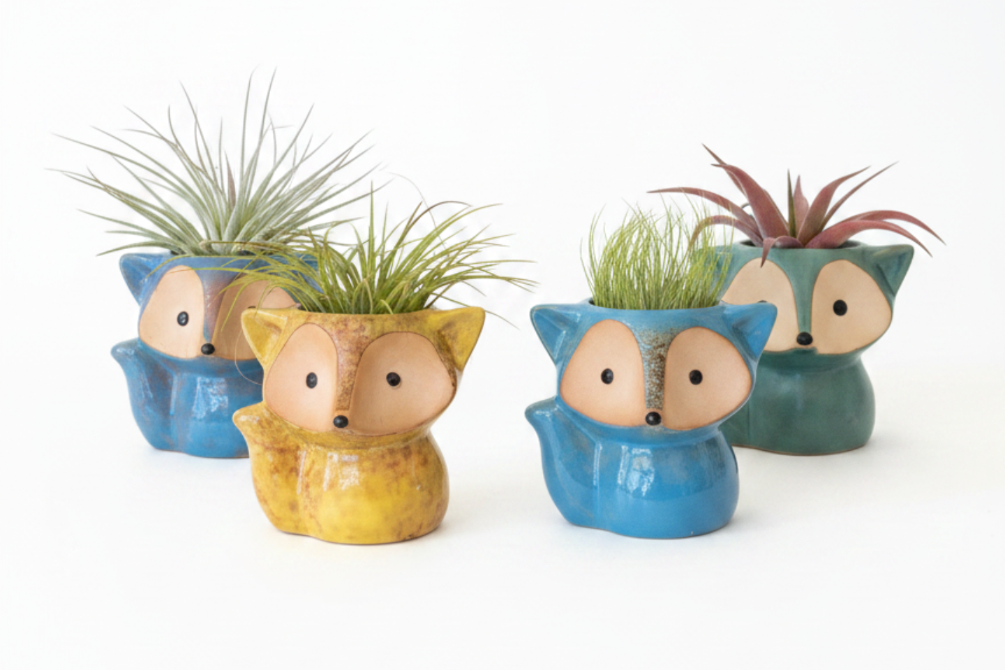 Set of five fox-shaped planters with air plants on a white background

