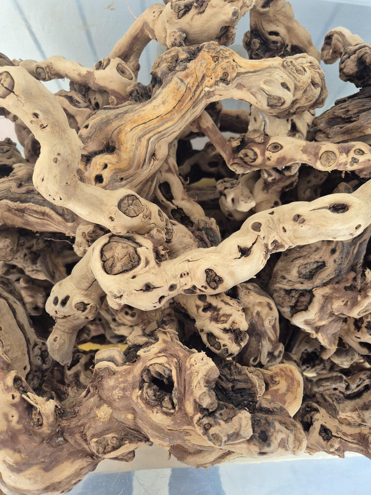 DIY Air Plant Display Kit – 4 Live Tillandsia + Grapewood + E6000 Glue | Make Your Own Air Plant Holder | Craft Kit Gift | Rustic Home Decor